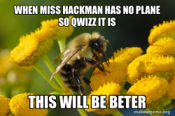 Good Guy Bee