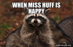 Evil Plotting Raccoon