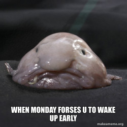 Blobfish