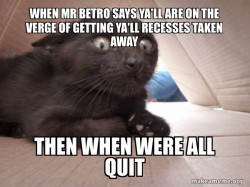 Schitzo Cat