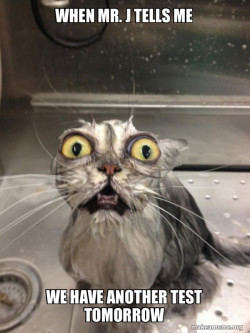 Cat bath