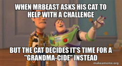 cat