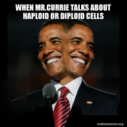 Two Faced Obama