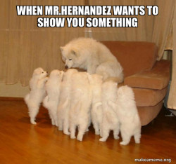 Storytelling Dog