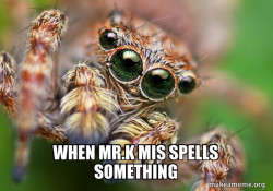 Hipster Spider