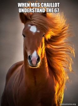 Ridiculously photogenic horse