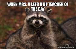 Evil Plotting Raccoon