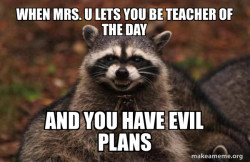 Evil Plotting Raccoon