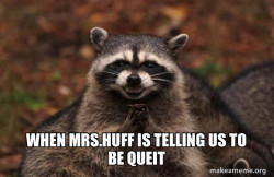 Evil Plotting Raccoon