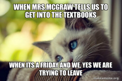 First World Cat Problems