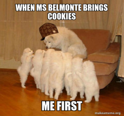 Scumbag Storytelling Dog