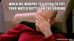 Picard Facepalm