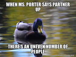 Zen Advice Mallard