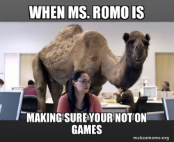 Hump Day Camel