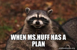 Evil Plotting Raccoon