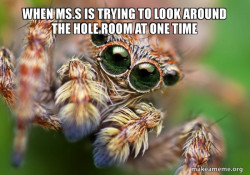 Hipster Spider