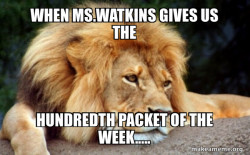 Confession Lion