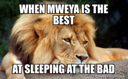 Confession Lion