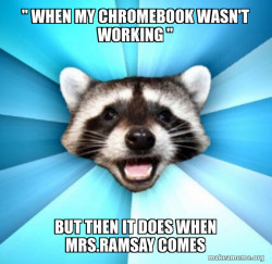 Lame Pun Coon