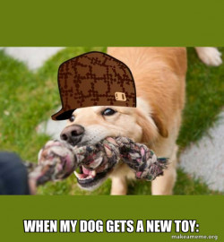 Scumbag dog