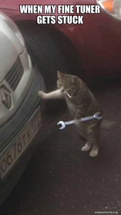 Mechanic Cat