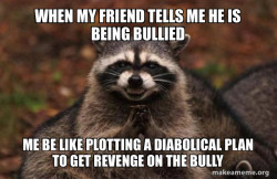 Evil Plotting Raccoon