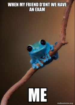 Small Fact Frog