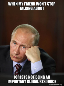 Contemplative Putin