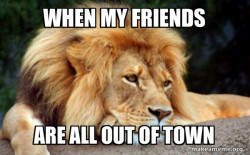 Confession Lion