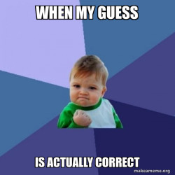 Success Kid