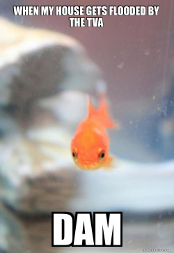 Grumpy Fish