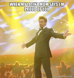 Tony Stark Success