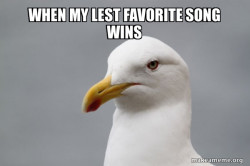 Stuff That Didn't Happen Seagull