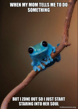 Small Fact Frog