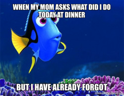 Dory from Nemo  (5 second memory)