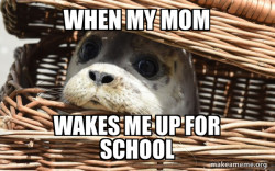 Impending Doom Seal