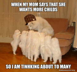 Scumbag Storytelling Dog