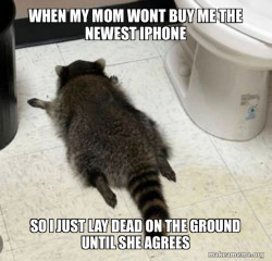 Drunk Raccoon