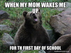 Sarcastic Bear