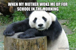 Confession Panda