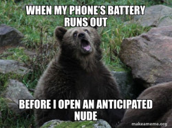 Sarcastic Bear