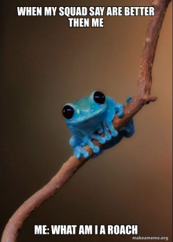 Small Fact Frog