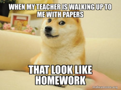 Doge