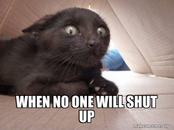 Schitzo Cat