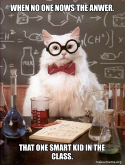 Chemistry Cat