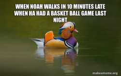 Fashionable Advice Mallard