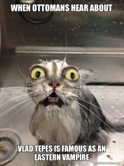 Cat bath