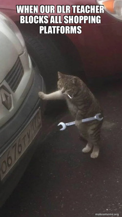 Mechanic Cat