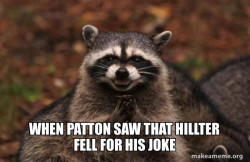 Evil Plotting Raccoon
