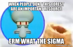 What the Sigma Squidward
